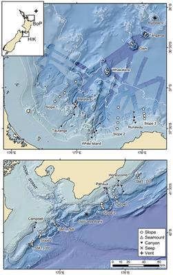 Habitat Differences in Deep-Sea Megafaunal Communities off New Zealand: Implications for Vulnerability to Anthropogenic Disturbance and Management